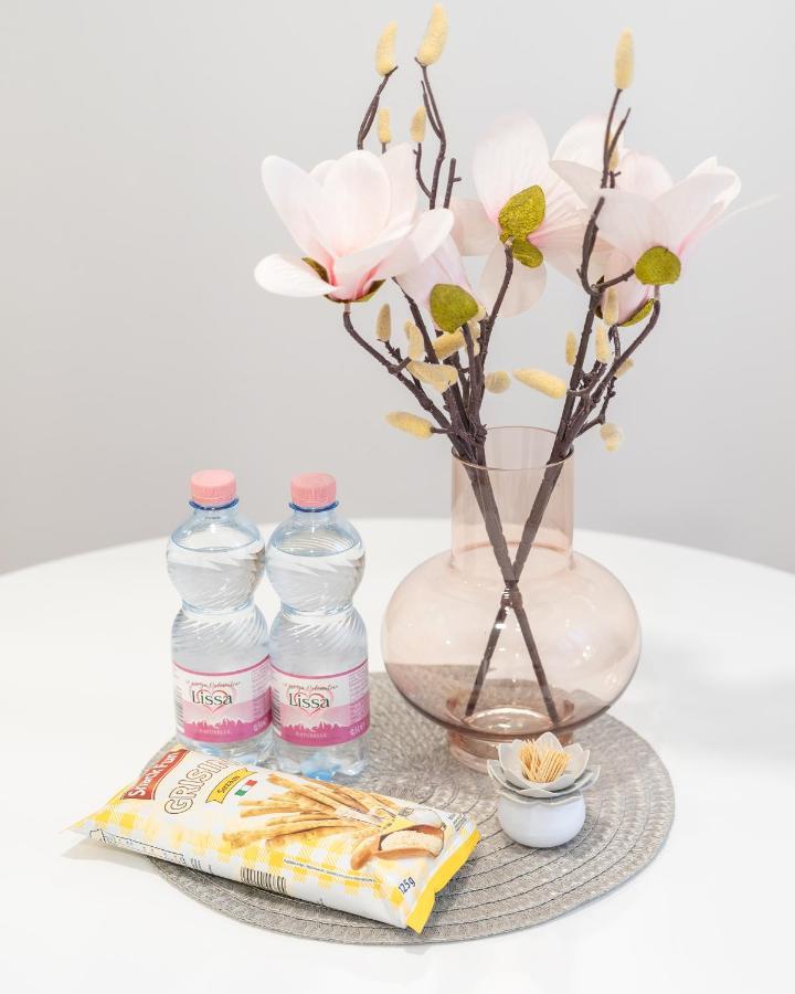 Classy & Cozy Apartment 2 リュブリャナ エクステリア 写真